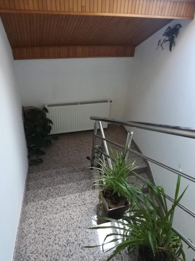 Drago Kremenjas Apartment Delnice Ngoại thất bức ảnh